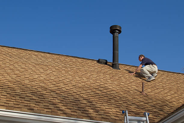 Best Roof Moss and Algae Removal  in Bowie, TX